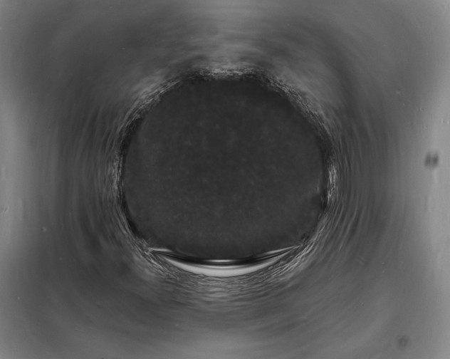 X0000098231300200805011248