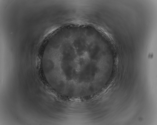 X0000098231302200805011248