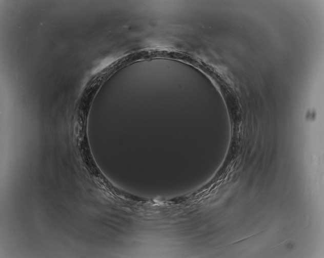 X0000098231303200805011248