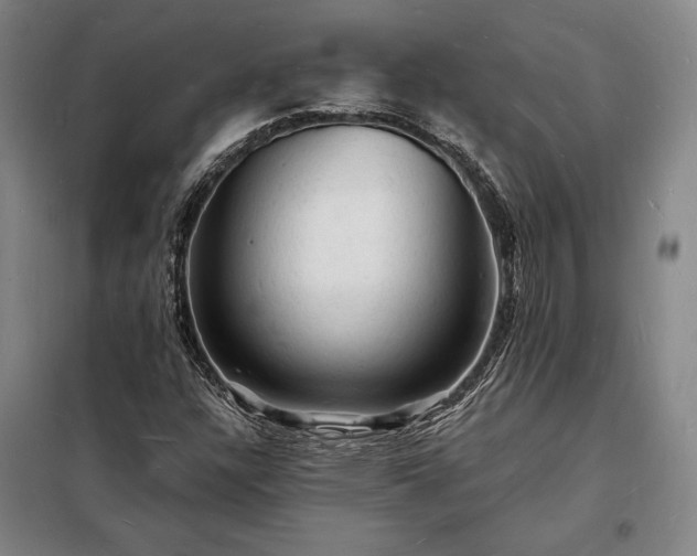 X0000098231304200805011248
