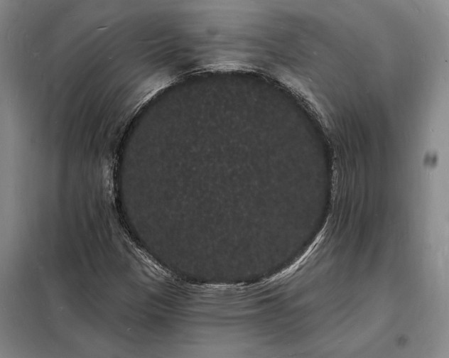 X0000098231305200805011248
