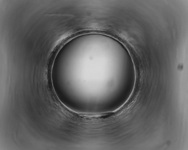 X0000098231307200805011248
