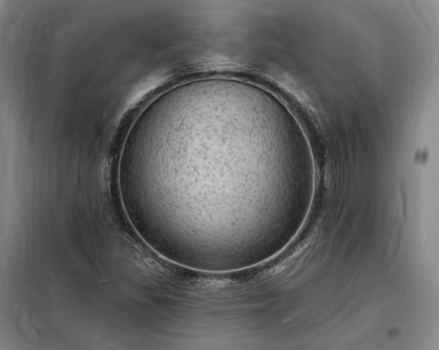 X0000098231309200805011248