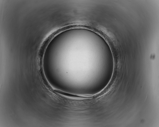 X0000098231310200805011248