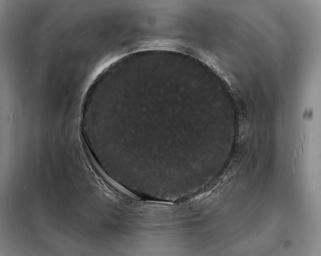 X0000098231312200805011248