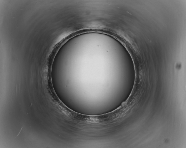 X0000098231315200805011248