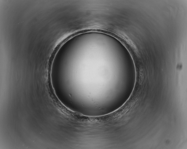 X0000098231316200805011248