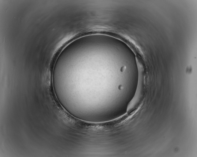 X0000098231317200805011248