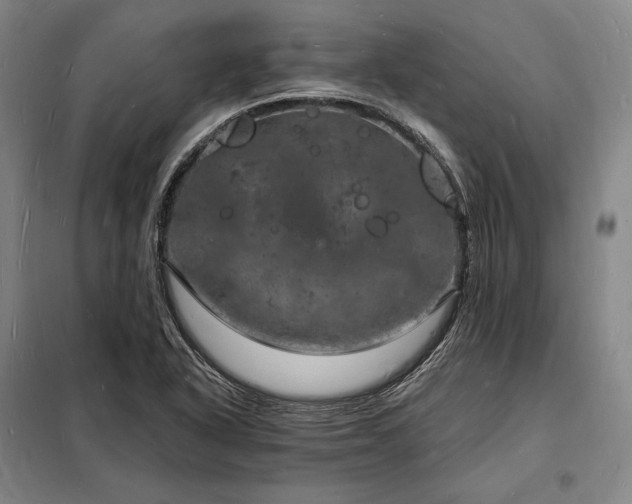 X0000098231318200805011248