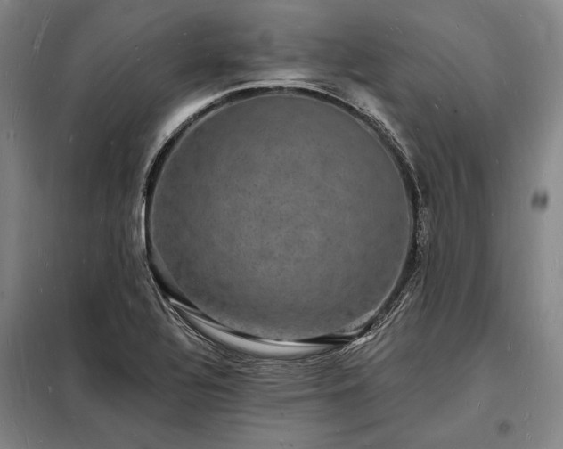 X0000098231320200805011248