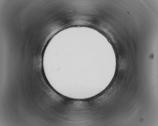 X0000098231322200805011248