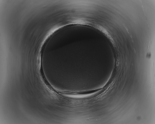 X0000098231323200805011248