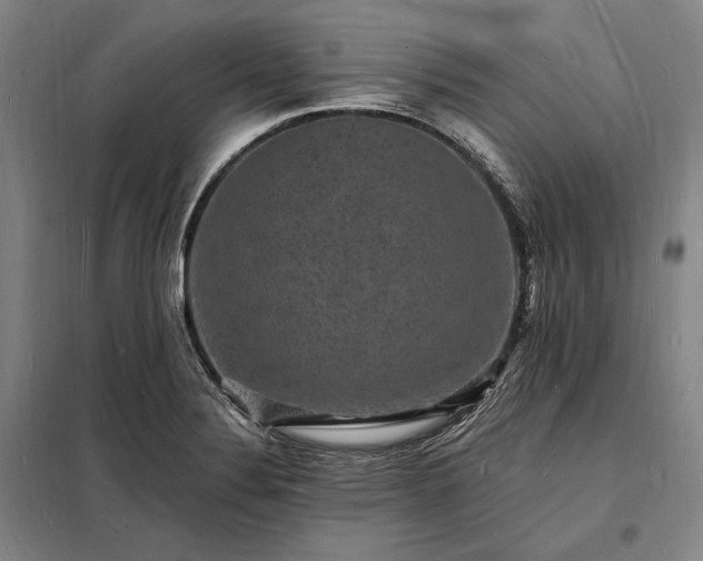 X0000098231324200805011248