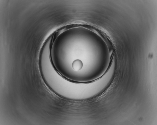 X0000098231326200805011249