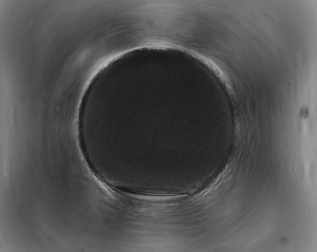 X0000098231327200805011249