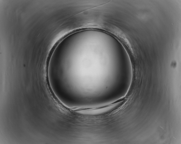 X0000098231328200805011249