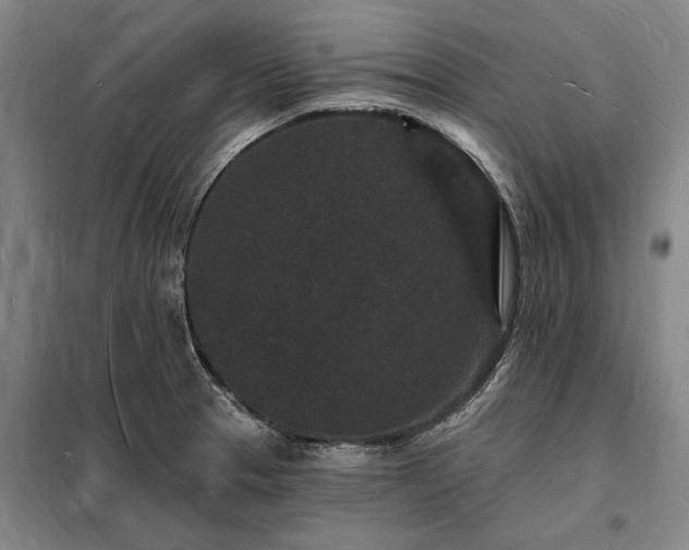 X0000098231329200805011249