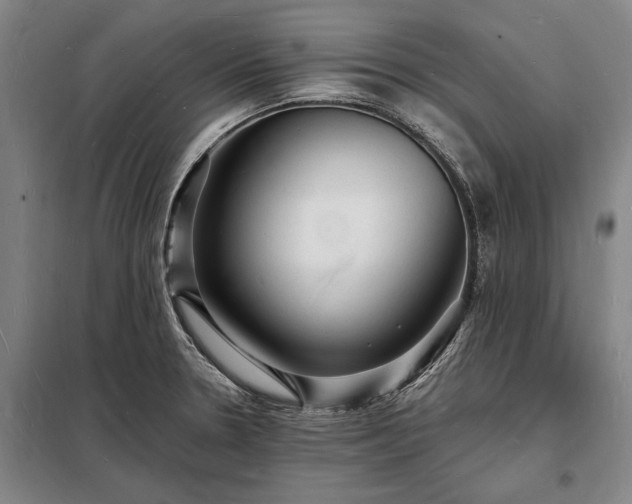 X0000098231330200805011249