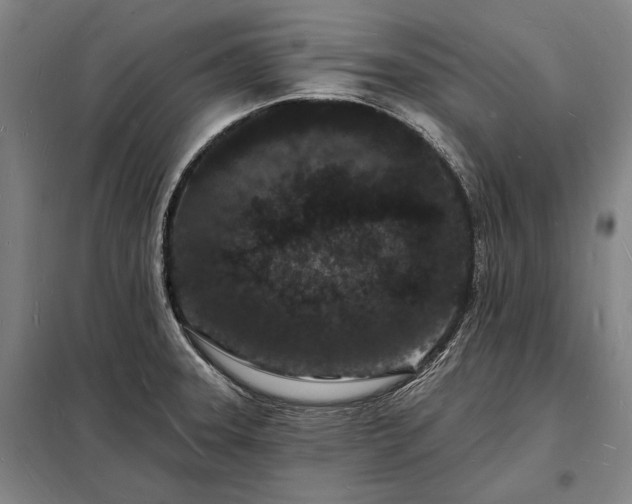 X0000098231331200805011249