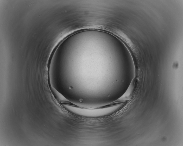 X0000098231332200805011249