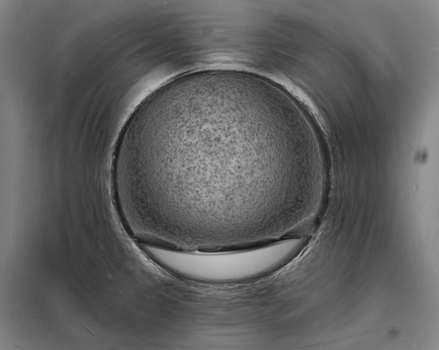 X0000098231333200805011249
