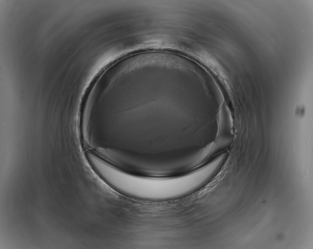 X0000098231334200805011249