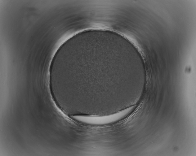 X0000098231335200805011249