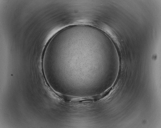 X0000098231336200805011249
