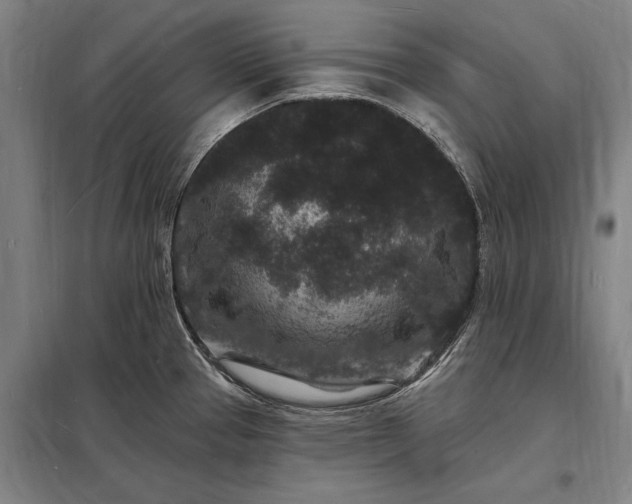 X0000098231337200805011249