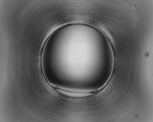 X0000098231340200805011249