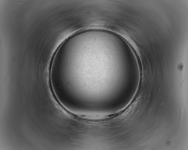 X0000098231341200805011249