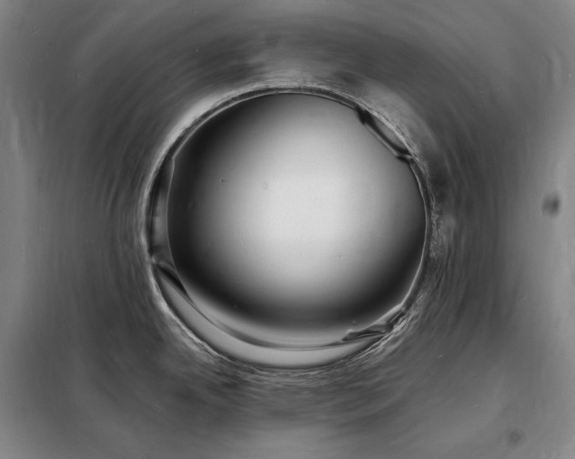 X0000098231342200805011249