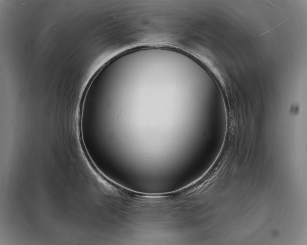 X0000098231343200805011249