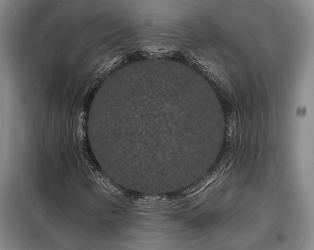 X0000098231346200805011248