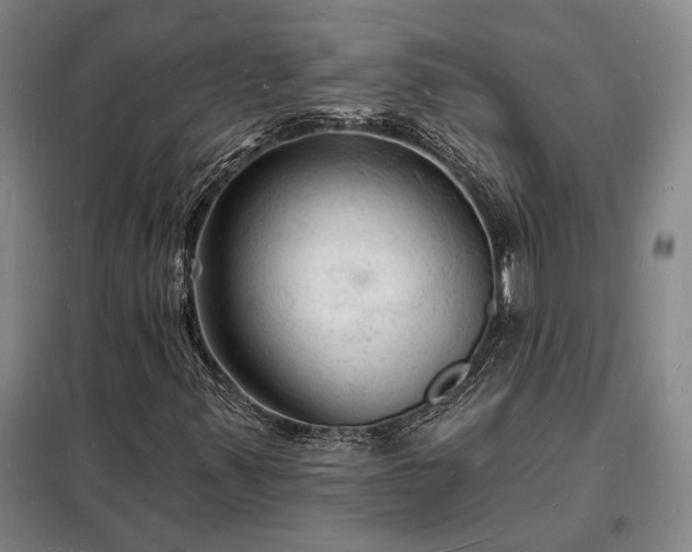 X0000098231347200805011248