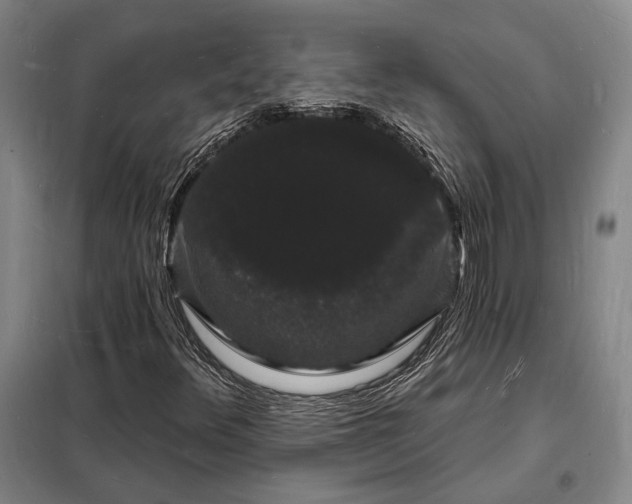X0000098231348200805011248