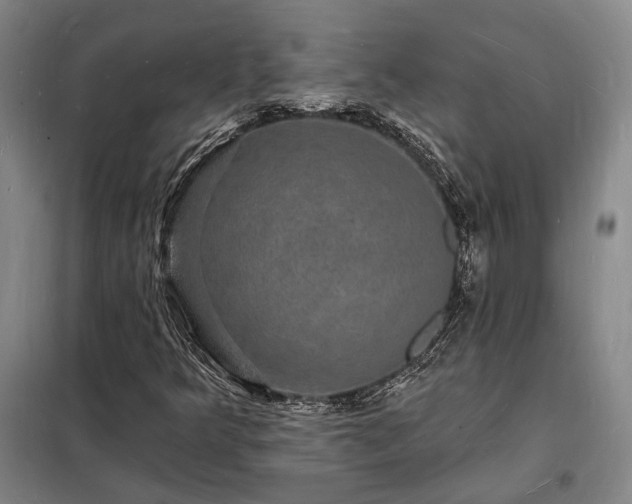 X0000098231349200805011248