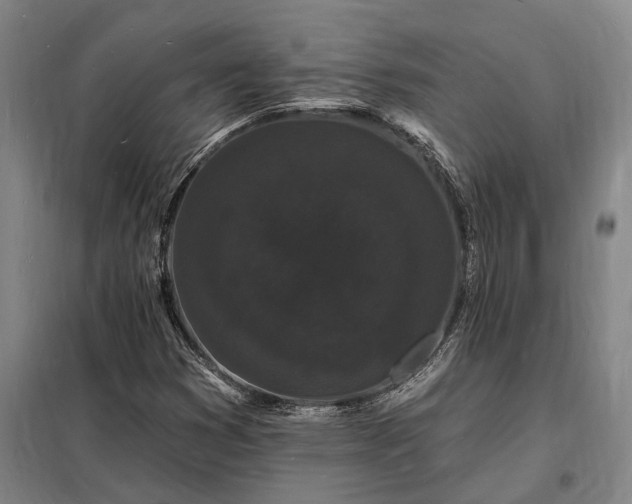 X0000098231353200805011248