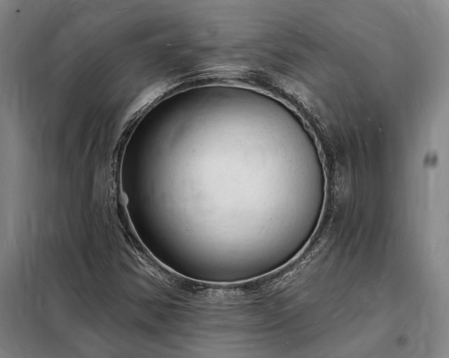X0000098231354200805011248