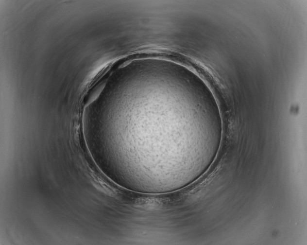 X0000098231355200805011248