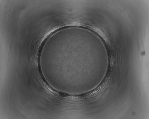 X0000098231356200805011248