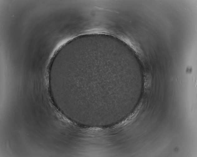 X0000098231358200805011248