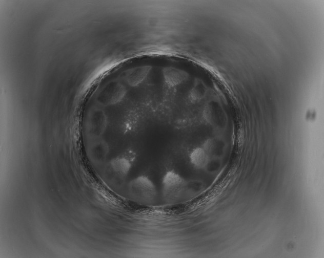 X0000098231359200805011248