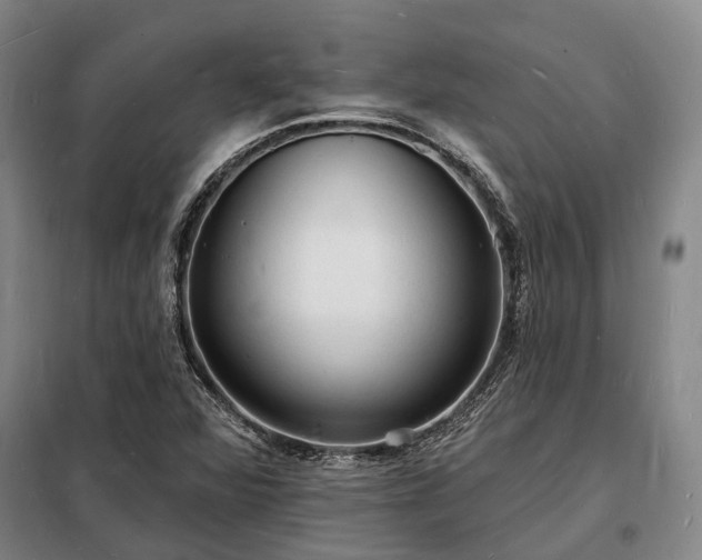X0000098231360200805011248