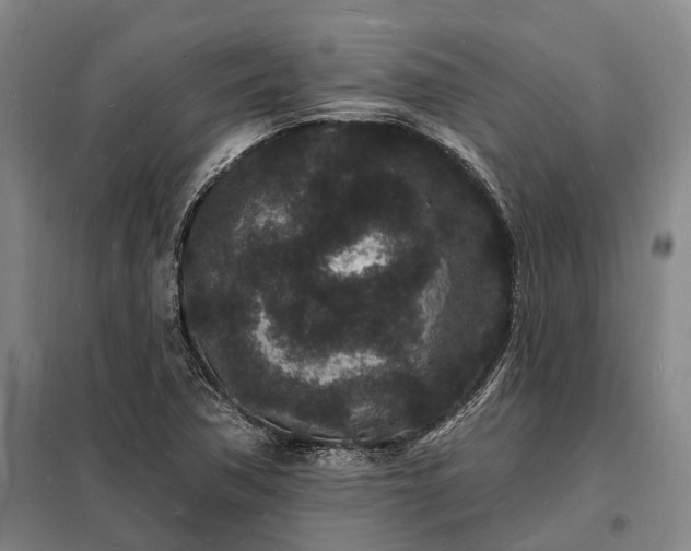 X0000098231362200805011248