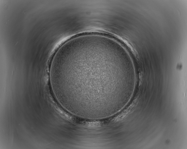X0000098231363200805011248