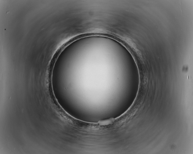 X0000098231364200805011248