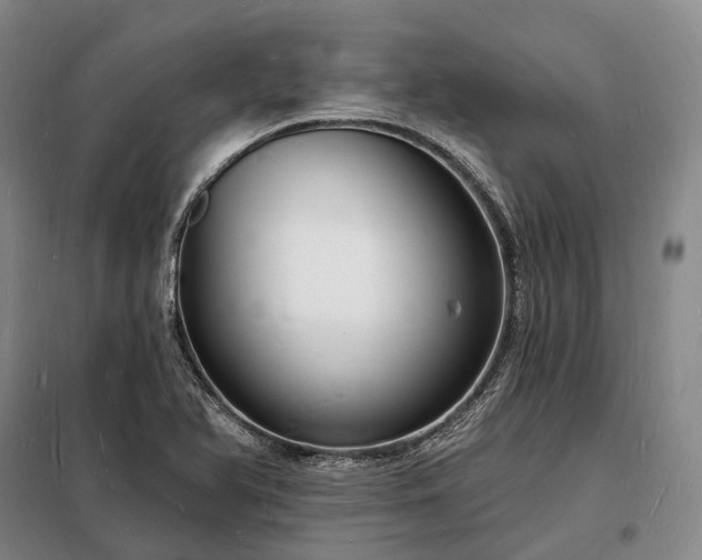 X0000098231366200805011248