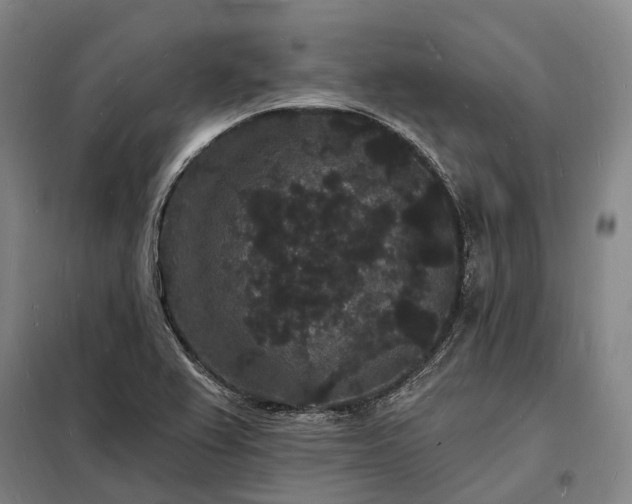 X0000098231367200805011248