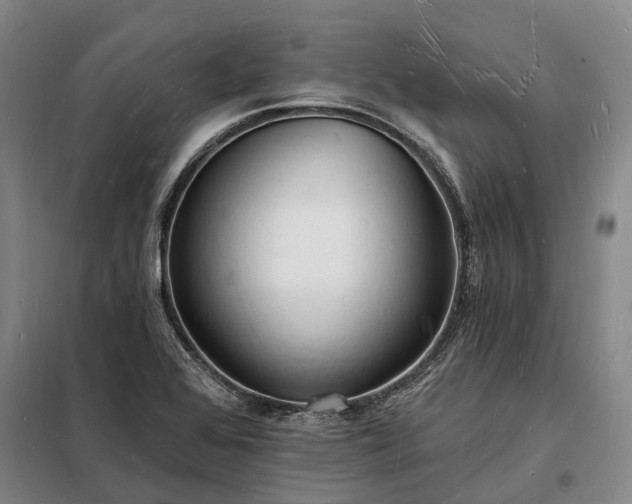 X0000098231368200805011248